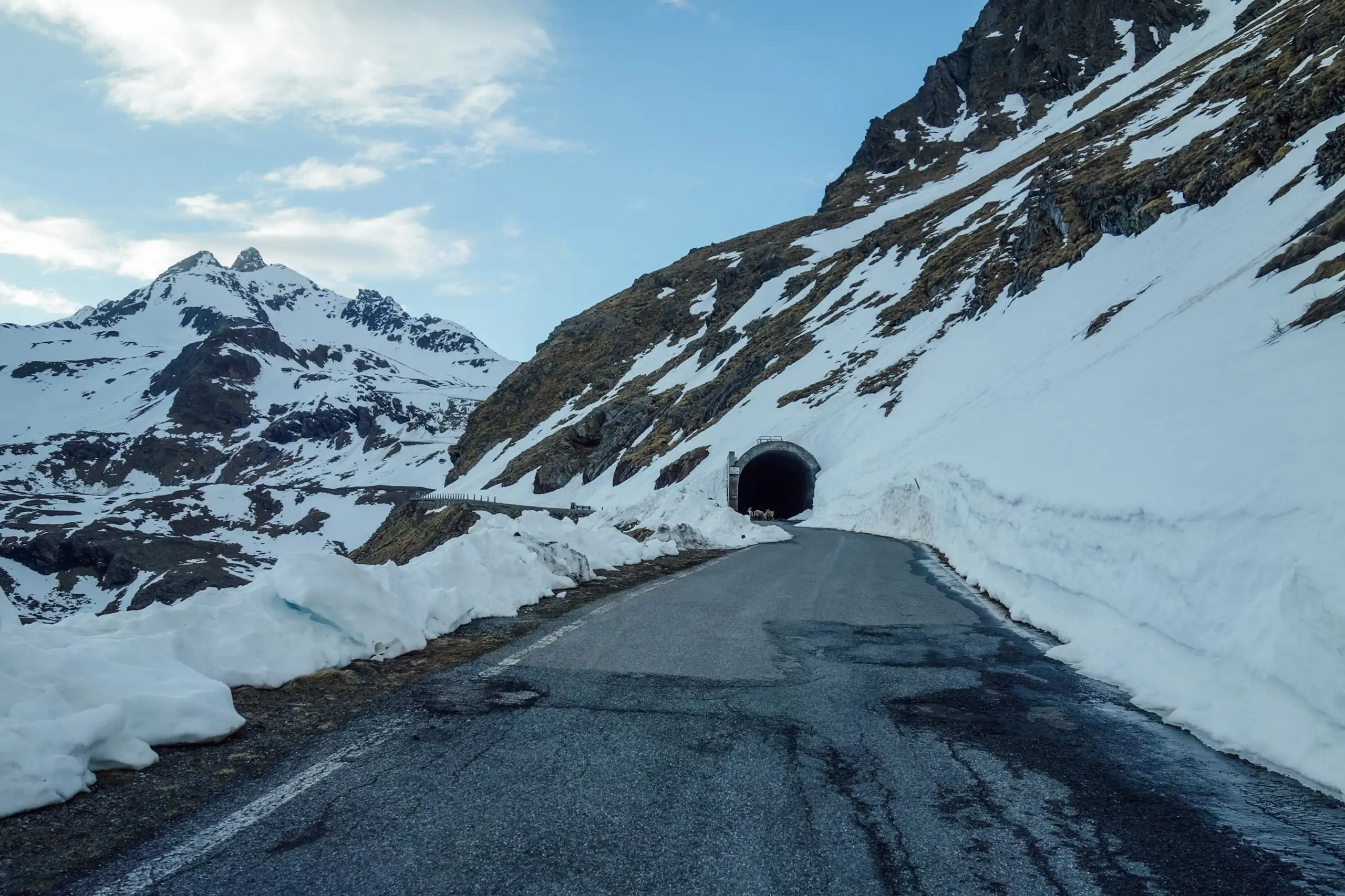 Repete, Passo di Gavia, cycling, icons