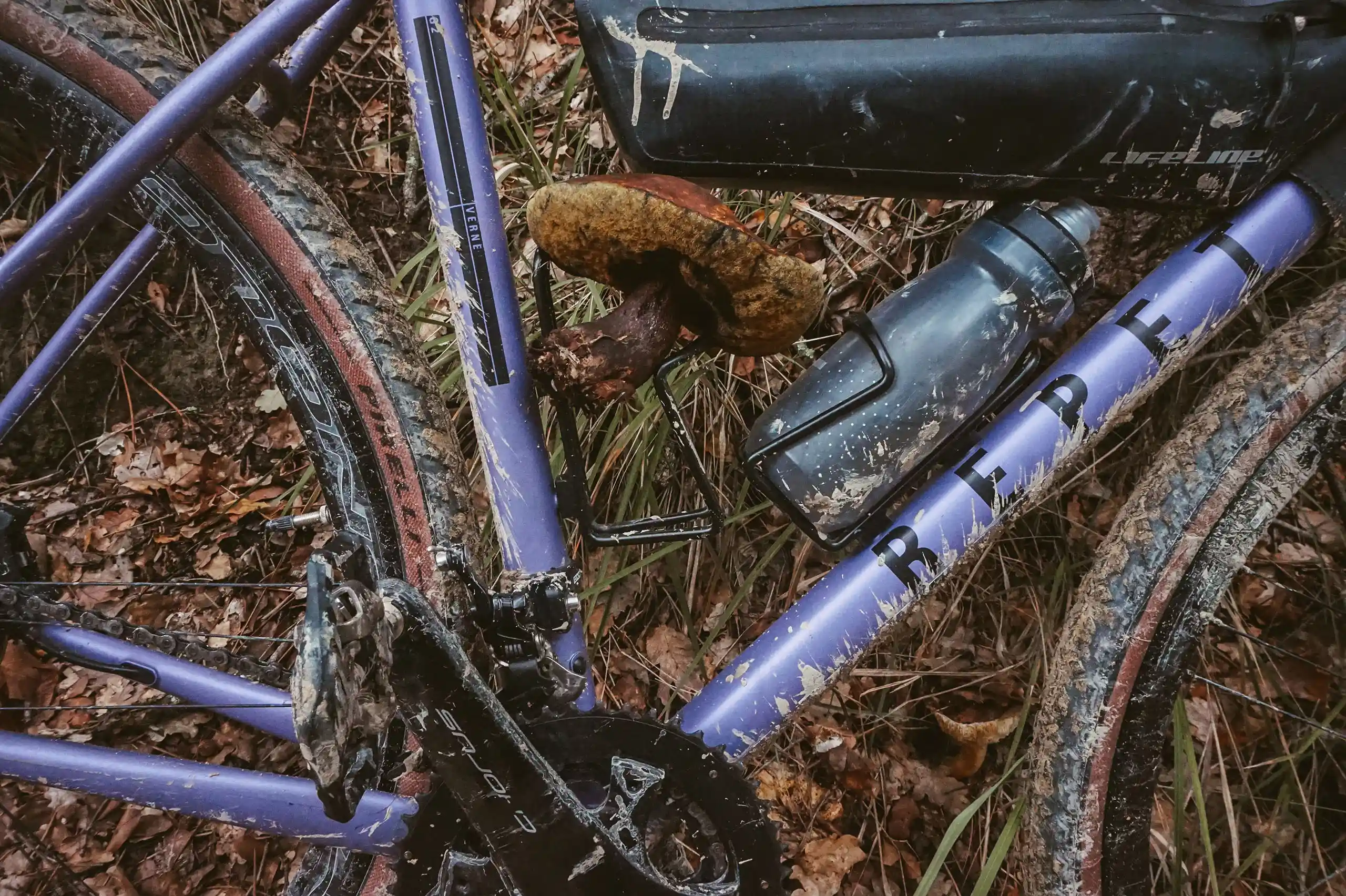 Repete, Verne, gravel, Alessandro Salvaggio, bicycle