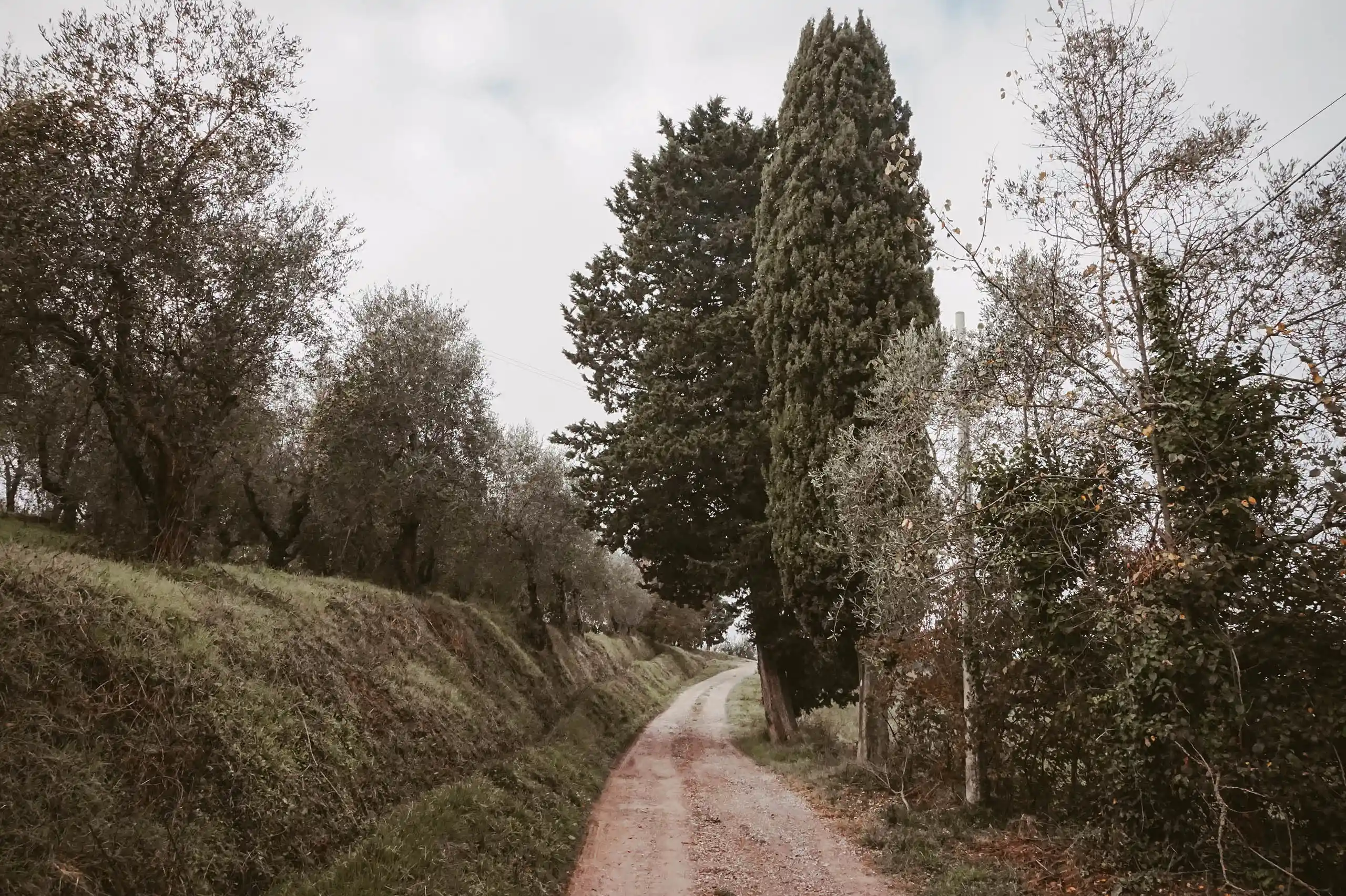 Repete, Verne, gravel, Alessandro Salvaggio, bicycle