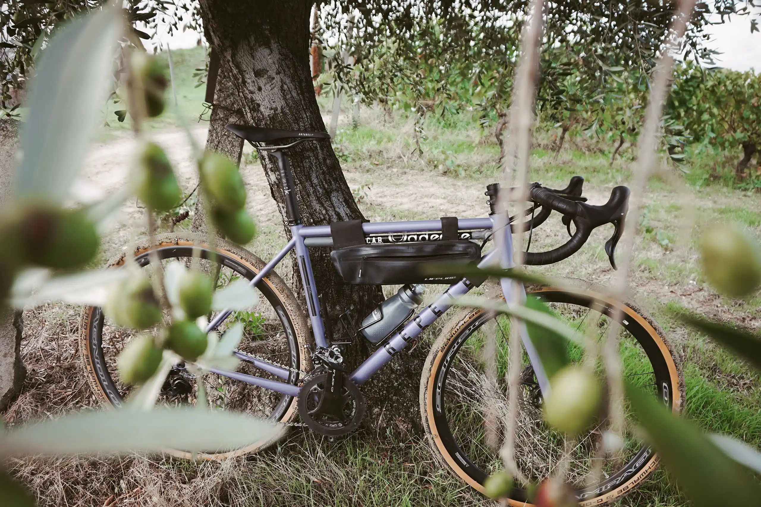 Repete, Verne, gravel, Alessandro Salvaggio, bicycle