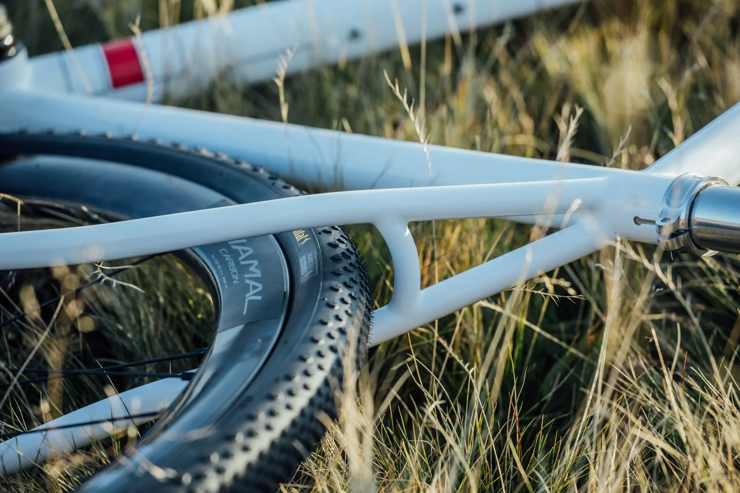 Repete, Campagnolo, Ekar, gravel, groupset